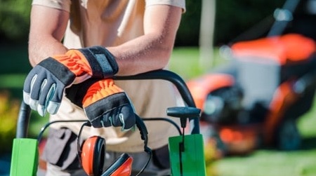 gardener and landscaper